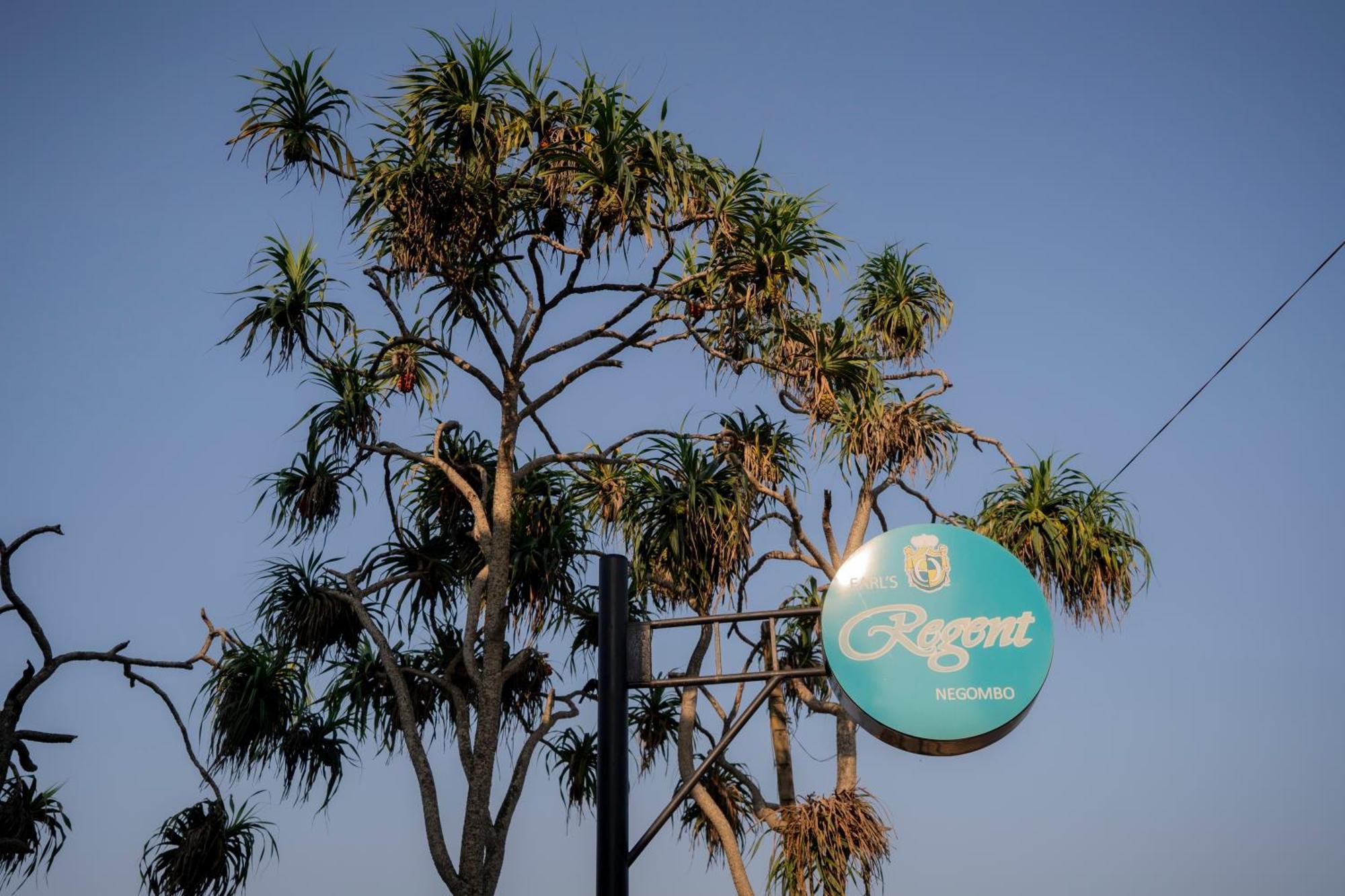 Earl'S Regent Negombo Hotel Bagian luar foto